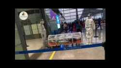 Corona virus...DIE WAHRHEIT