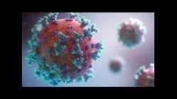 Die Corona-Krise: Alles nur eine Lüge? Mediziner klären auf! #DOKU 2020