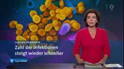 Sendung: tagesschau 	01.08.2020 20:00 Uhr