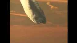 Chemtrails sind eine Lüge?