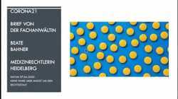 Corona 21 (gelöschtes Video) von Dr  Bodo Schiffmann Schwindelambulanz Sinsheim Sicherung