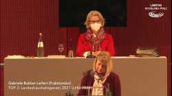 Landtag Rheinland-Pfalz