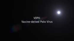 Teil 8 / 26: Fortsetzung der Serie 