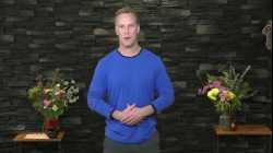 Lee Holden - Qi Gong – Die Kunst der mühelosen Kraft für deinen Flow