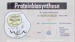 CORONA-IMPFUNG: Alle Details im Faktencheck