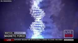 MAGNETISM - INTENTIONALLY ADDED TO MRNA SHOT - WARNING LABEL: NOT FOR USE IN HUMANS