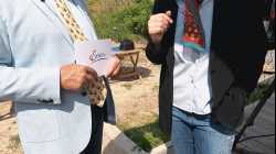 Teil 2: Corona – auf der Suche nach der Wahrheit