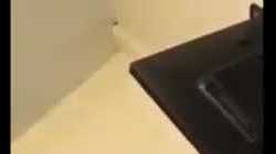 Mit versteckter Kamera beim Abstrich im Krankenhaus.