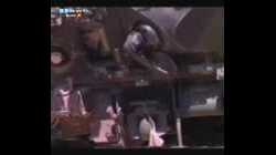 NDR Bericht zur Vogelgrippe