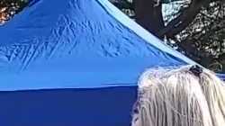 BESTATTERIN PACKT AUS!