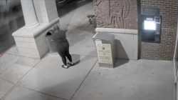 2000 Mules: Neuer Film deckt Bidens Wahlbetrug auf