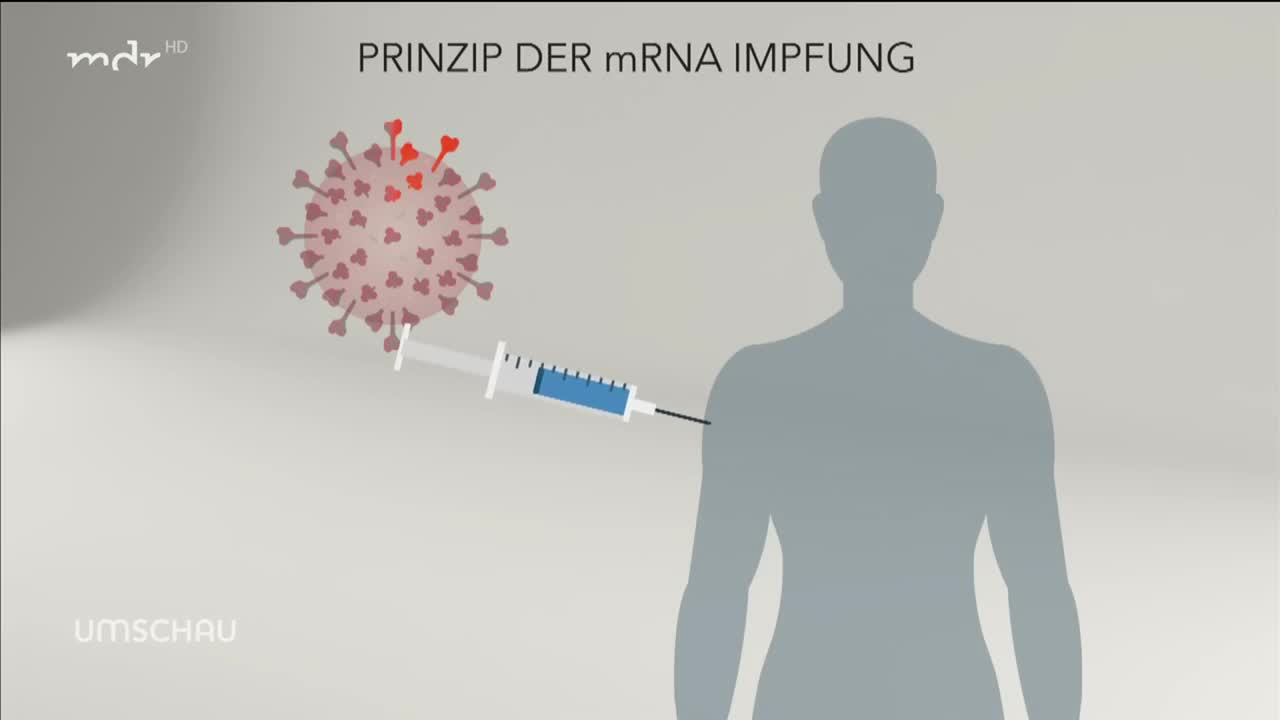 Hirnschädigung nach Impfung - Wie Hinterbliebene um Aufklärung kämpfen | Umschau | MDR