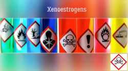 Teil 15 / 26: Fortsetzung der Serie 