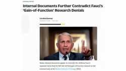 Teil 18 / 26: Fortsetzung der Serie 